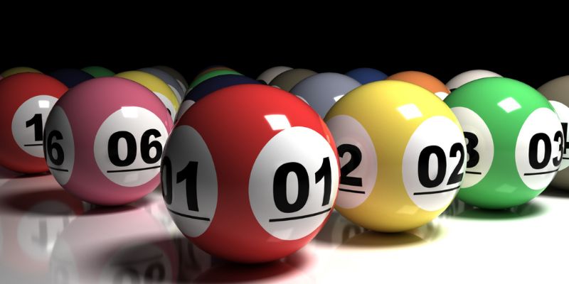 bạch thủ lô là gì