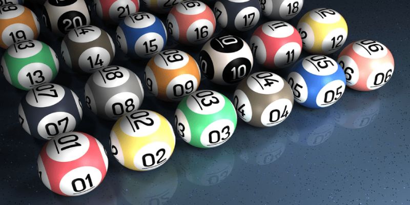 Khái niệm bạch thủ lô là gì? Khái niệm bạch thủ lô là gì? 