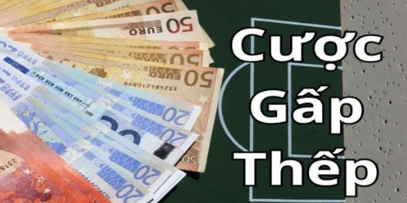 Cược gấp thếp và cách vận hành hiệu quả